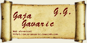 Gaja Gavarić vizit kartica
